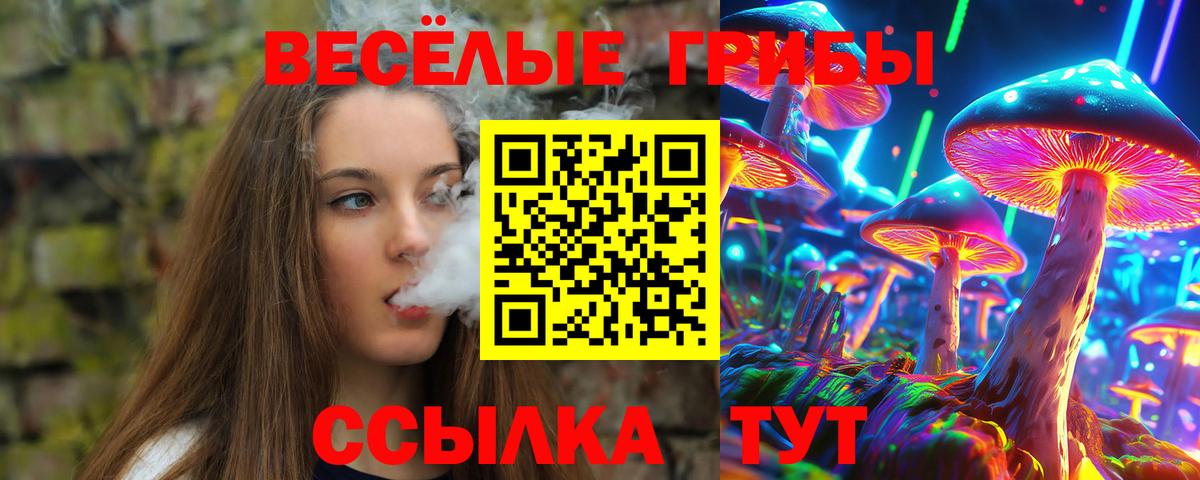 Галлюциногенные грибы MAGIC MUSHROOMS  Вход с VPN  Галлюциногенные грибы Psilocybe  Златоуст 